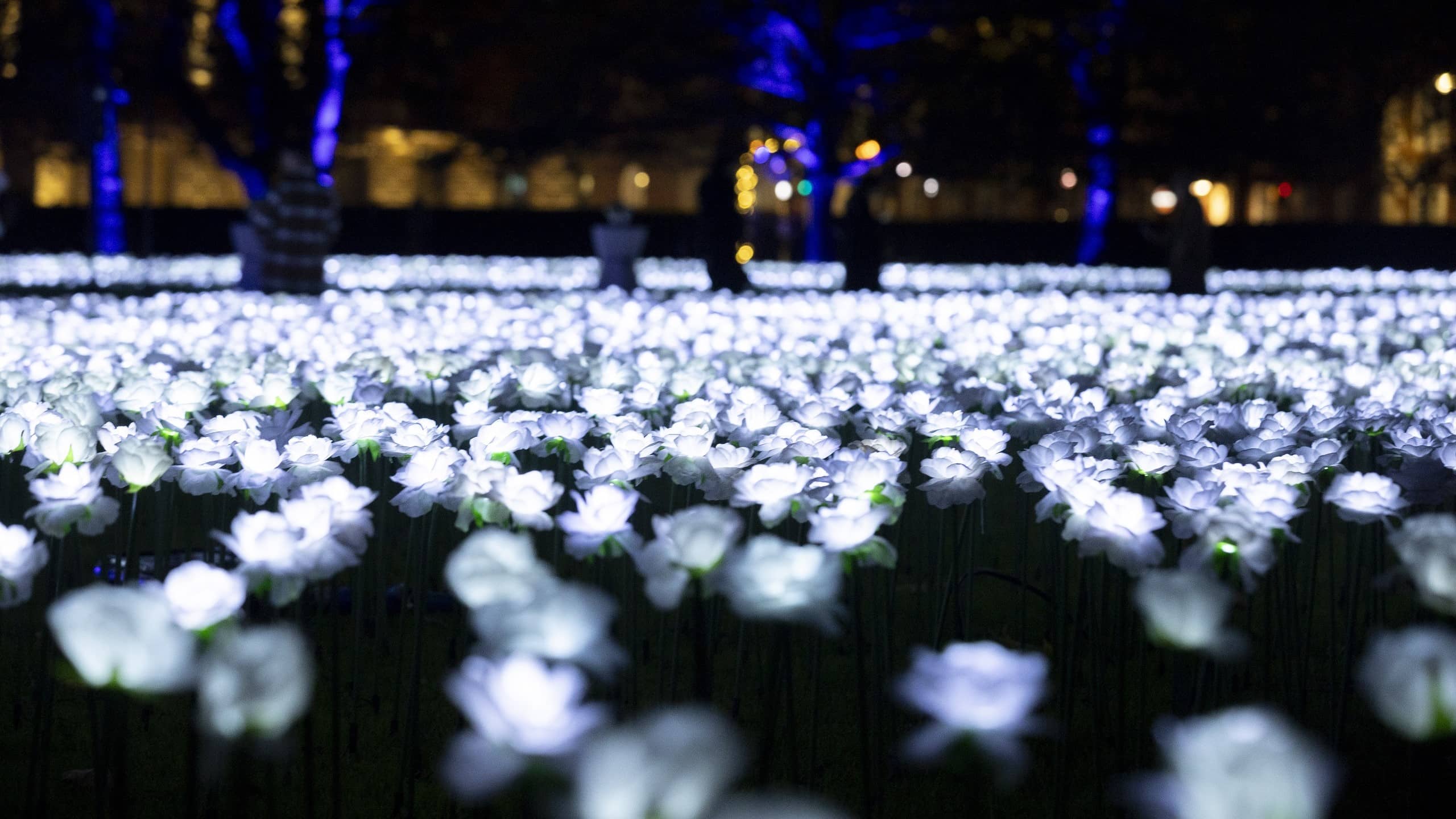 Ever after garden | The Royal Marsden Cancer Charity