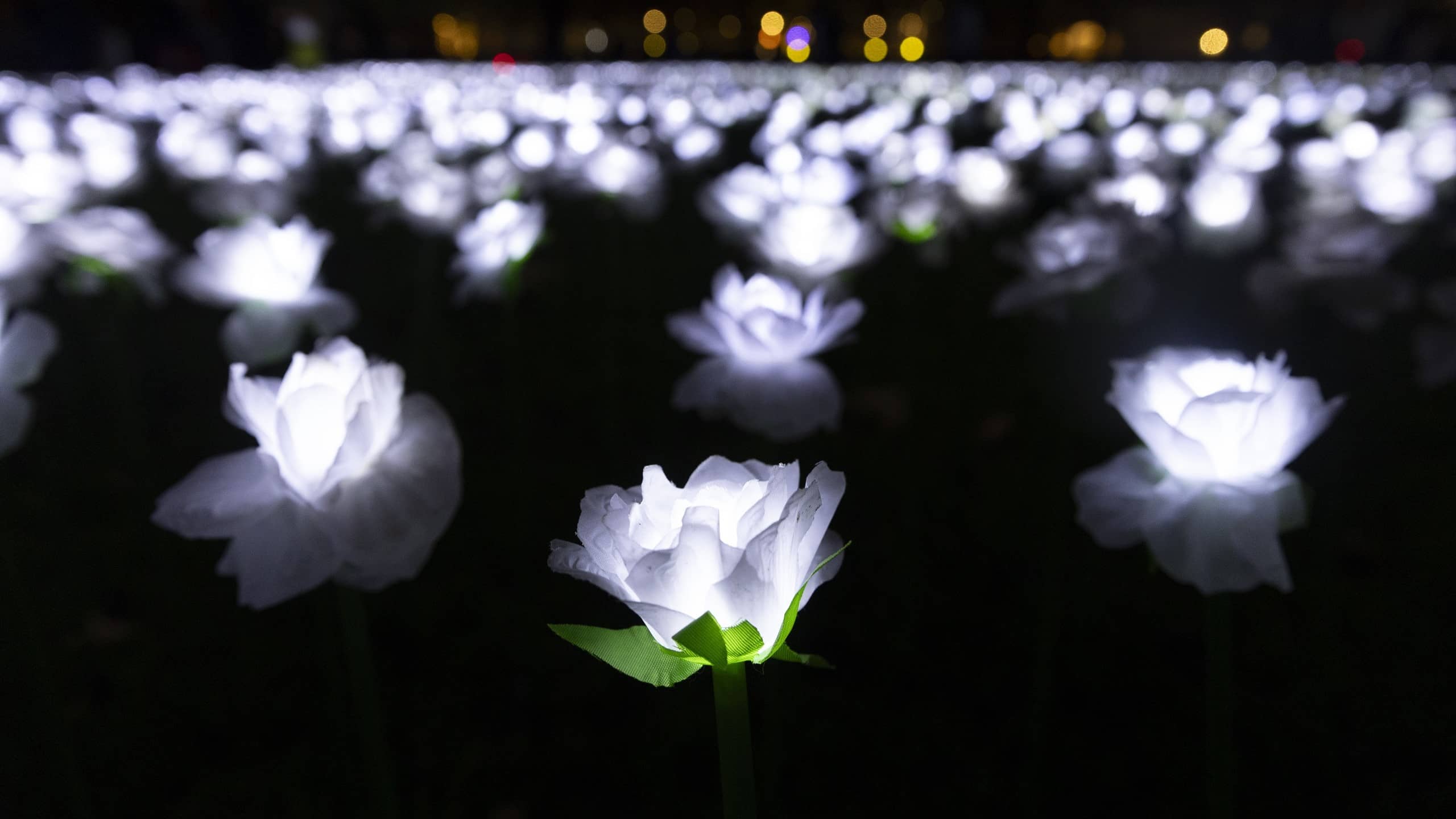 Ever after garden | The Royal Marsden Cancer Charity